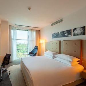 Suite King cu un dormitor